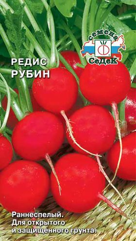 Редис Сакса РС: описание, характеристики и фото сорта, плюсы и минусы, особенности выращивания, сбора и хранения урожая, болезни и вредители
