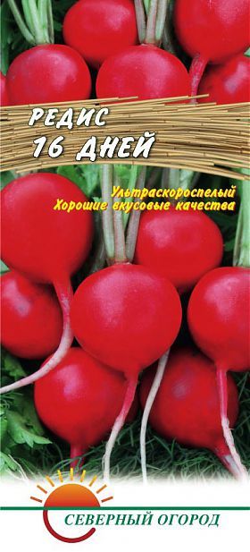 Редис Сакса РС: описание, характеристики и фото сорта, плюсы и минусы, особенности выращивания, сбора и хранения урожая, болезни и вредители