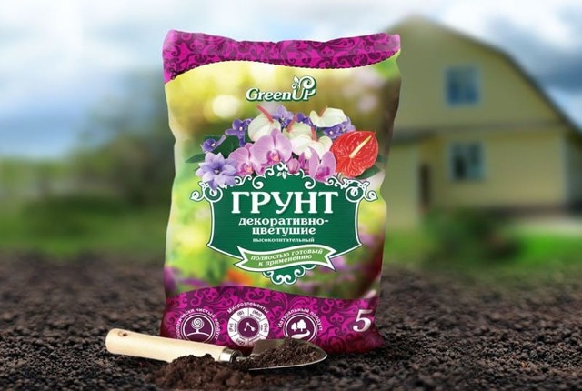 Мужское и женское счастье: фото комнатных цветов, можно ли ставить рядом спатифиллум и антуриум, допускается ли посадить вместе в один горшок, как ухаживать?