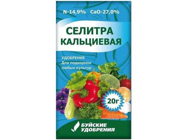 У лимона скручиваются листья внутрь: почему так происходит и что делать, если эта часть комнатного растения сворачивается в трубочку и желтеет?