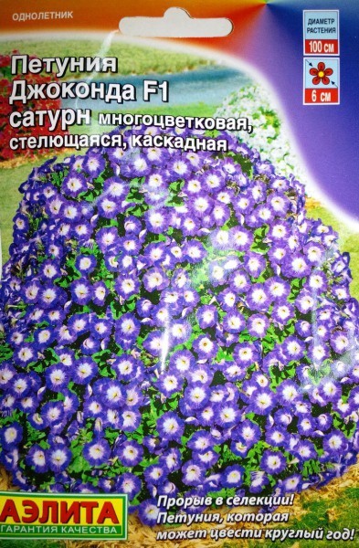 Петуния Джоконда: виды (оранжевая, алая, мини и другие) и их фото, уход за растением, болезни и проблемы