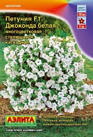 Петуния Джоконда: виды (оранжевая, алая, мини и другие) и их фото, уход за растением, болезни и проблемы