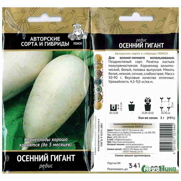 Посадка и уход за редькой маргеланской: сроки посева, разновидности китайского корнеплода и как сажать в открытый грунт, когда собирать урожай?