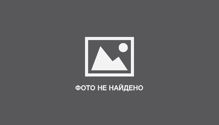 Маммиллярия Вильда: описание и фото, уход за растением, в том числе обрезка, а также зимовка и возможные болезни кактуса