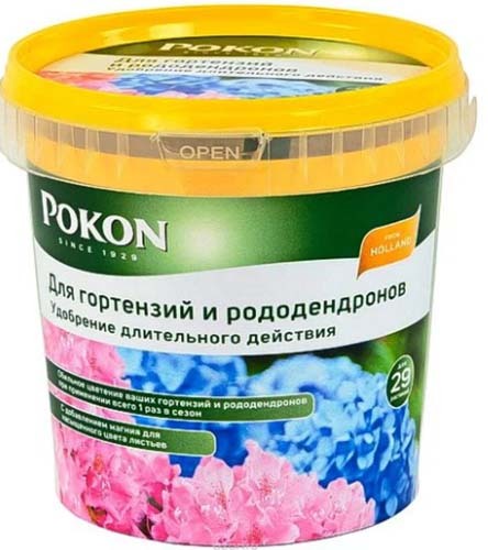 Уход за рододендроном осенью: что нужно делать для подготовки к этому времени года, можно ли совершать обрезку азалии, когда вносить удобрения?