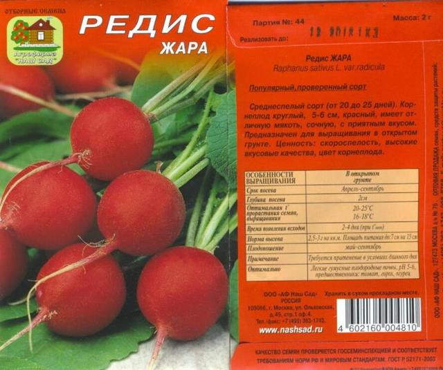 Редис Жара: фото и описание сорта, плюсы и минусы, применение, особенности выращивания в открытом грунте и в домашних условиях, посадка и уход, болезни и вредители