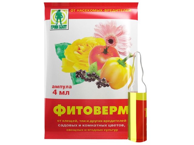 Как избавиться от тли: средства и препараты для борьбы с вредителем, обработка огорода и садового участка, а также какие меры нужны, если заражен укроп, как вывести?
