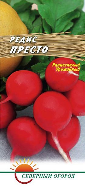 Редис Сакса РС: описание, характеристики и фото сорта, плюсы и минусы, особенности выращивания, сбора и хранения урожая, болезни и вредители