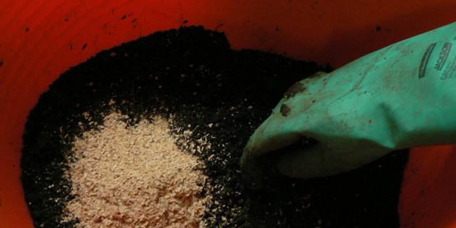 Грунт для Адениума: в какую землю нужно сажать и какой должен быть состав почвы, а также, как ее подготовить своими руками?