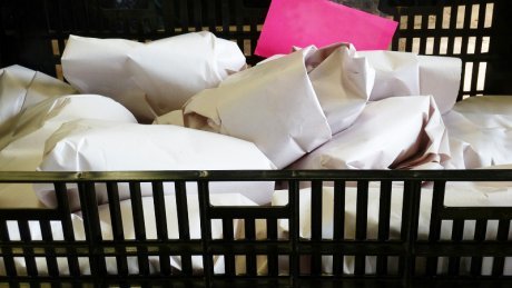 Как сохранить клубневую бегонию зимой: советы по уходу за растением до весны в домашних условиях, а также способы хранения в период холодов