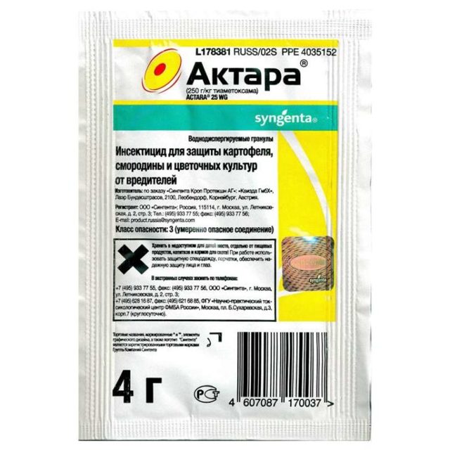 Мучнистый червец на комнатных растениях: как бороться с насекомым при помощи химических и народных средств, чтобы избавиться от него, нужна ли обработка земли?