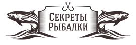 Как посадить розу, если дала росток в вазе: что делать, если цветок пустил молодые побеги и корни, а также, как нарезать черенки и повысить шансы на выживание?