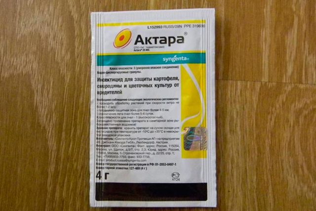 Адениум Арабикум: описание и фото растения, а также уход и размножение в домашних условиях, какие возможны болезни у цветка