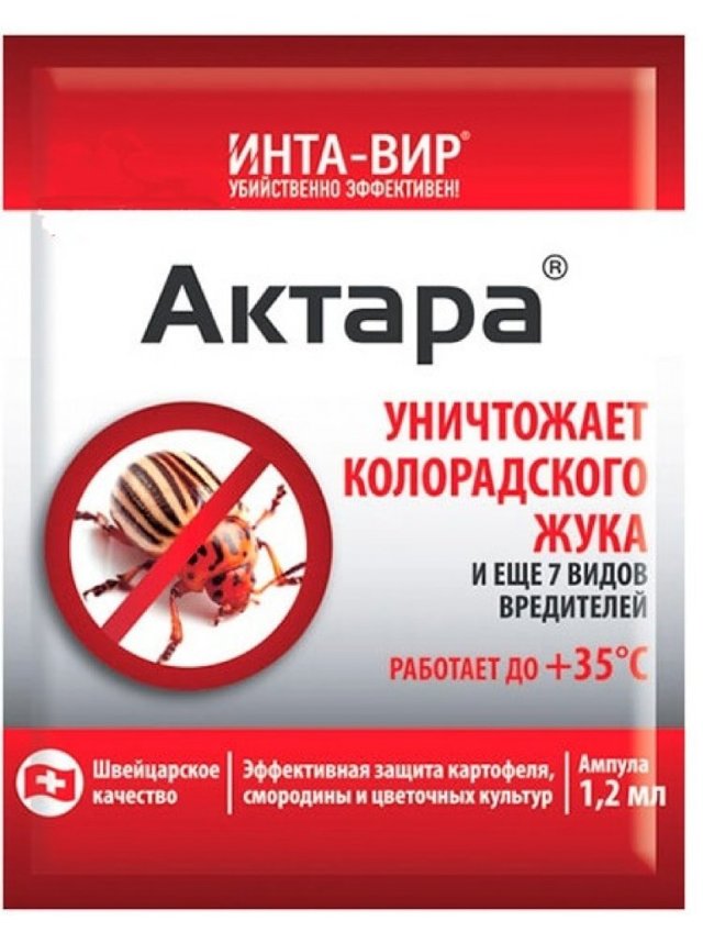 Как обработать орхидею Актарой: что это такое и как правильно развести инсектицид, а также основные меры предосторожности при использовании препарата