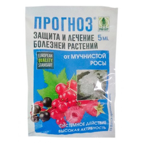 Мучнистая роса на петунии: как бороться с этой болезнью, чем можно обработать растение, чтобы от нее избавиться, какие есть препараты, а также фото лечения
