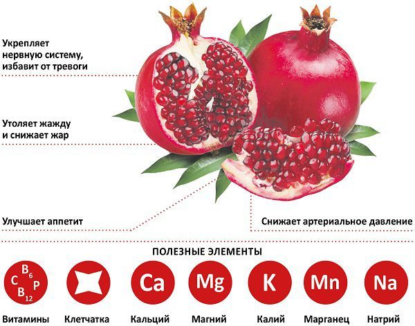 Гранат без косточек: бывают ли такие виды и есть ли опасность при их употреблении, а также фото популярных сортов в разрезе и принципы выращивания и ухода
