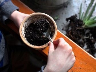 Как размножить алоэ правильно: способы разведения, посадка и уход за цветком в домашних условиях, чтоб был большим и красивым, укоренение и выращивание в горшке