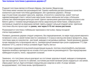 Денежное дерево: лечебные свойства и противопоказания, применение толстянки в домашних условиях, что делать с листьями, от чего помогает, можно ли при насморке?