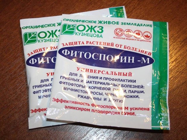 Пересадка орхидеи фаленопсис в домашних условиях пошагово: как правильно выполнить и когда лучше всего делать, а также фото цветка
