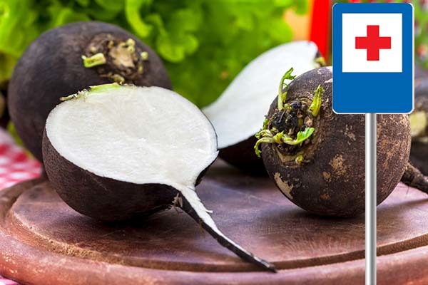 Посадка и уход за редькой маргеланской: сроки посева, разновидности китайского корнеплода и как сажать в открытый грунт, когда собирать урожай?