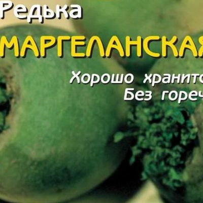 Сорта редьки: описание всех лучших видов овоща для выращивания в Сибири и других регионах с названием и фото, важность правильного выбора и цены на семена