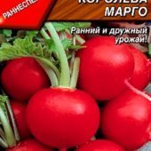 Сорта крупного редиса: фото и описание разновидностей, включая самые сладкие и для выращивания в открытом грунте, характеристика Красного и Осеннего Гиганта